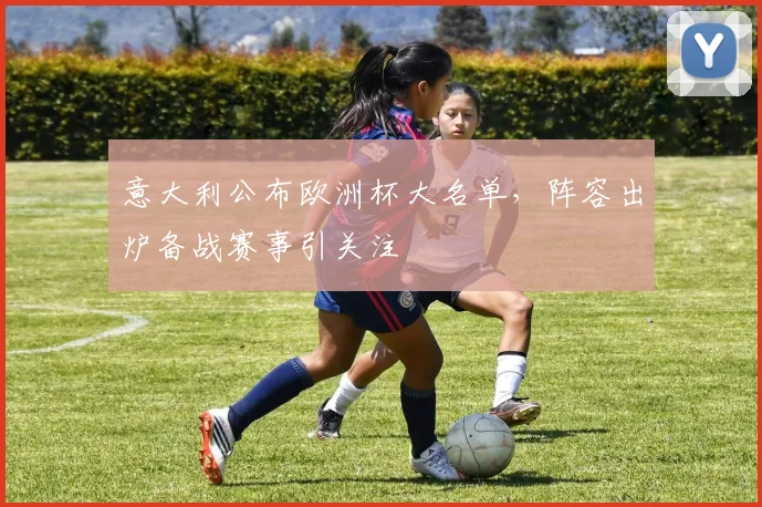 意大利公布欧洲杯大名单,阵容出炉备战赛事引关注